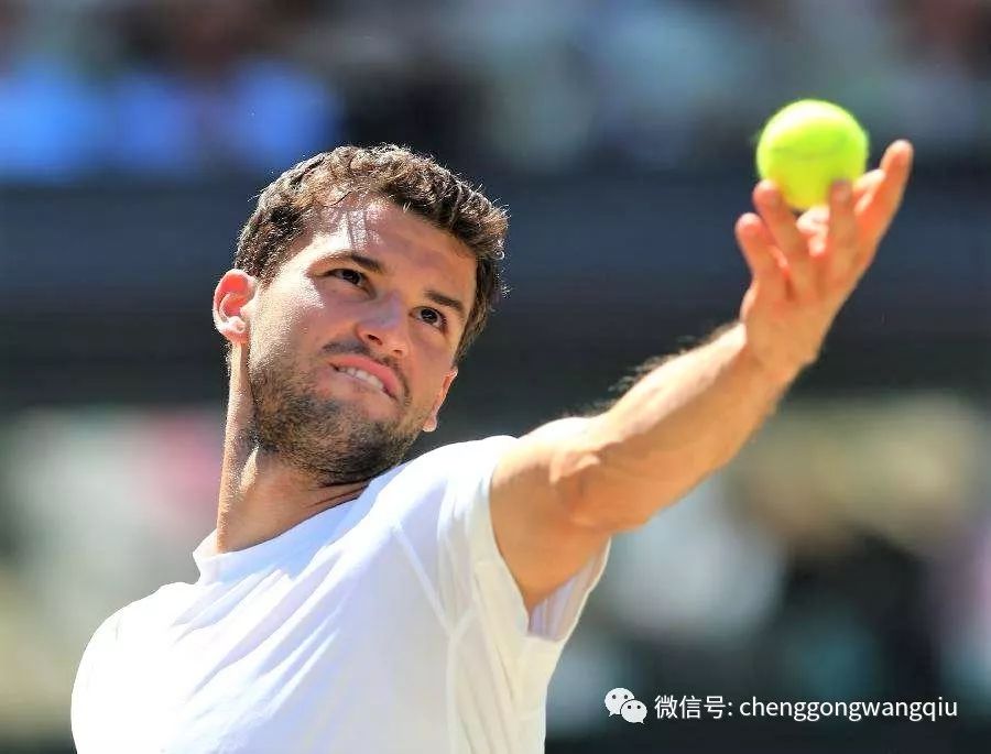 国际赛场上 国际赛场上