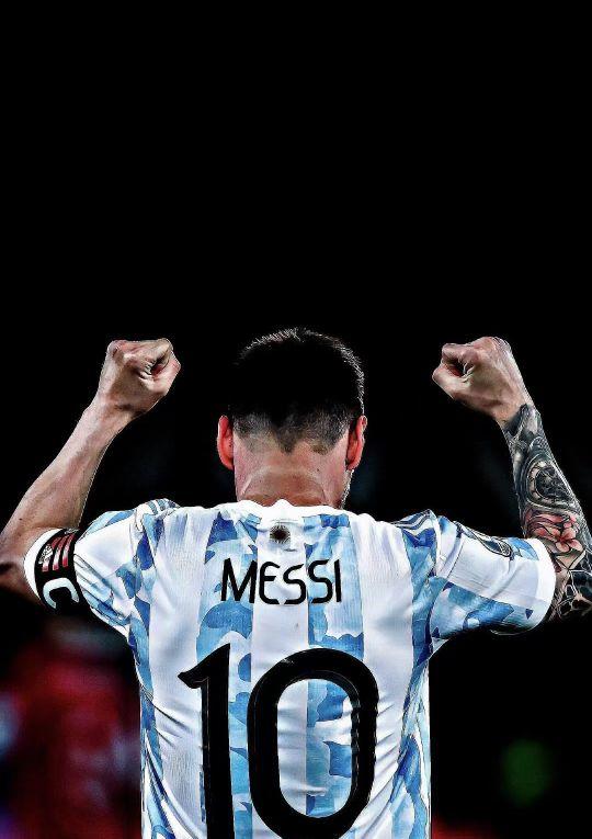 的适应能力 的适应能力